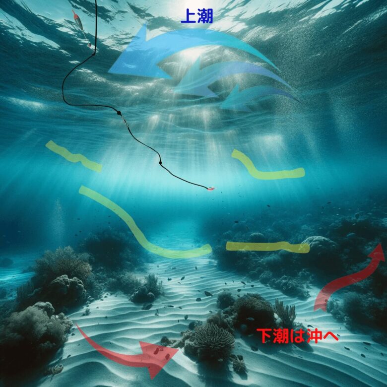 2024-8 千葉勝浦で楽しむ冬のグレ釣り：意外なゲストにアジ登場！