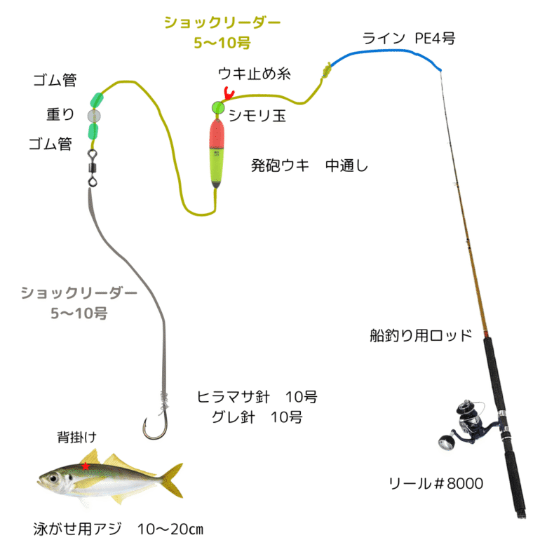 2024.1.28-8-1 千葉県勝浦～手漕ぎボートでアジ釣り＆泳がせ釣り