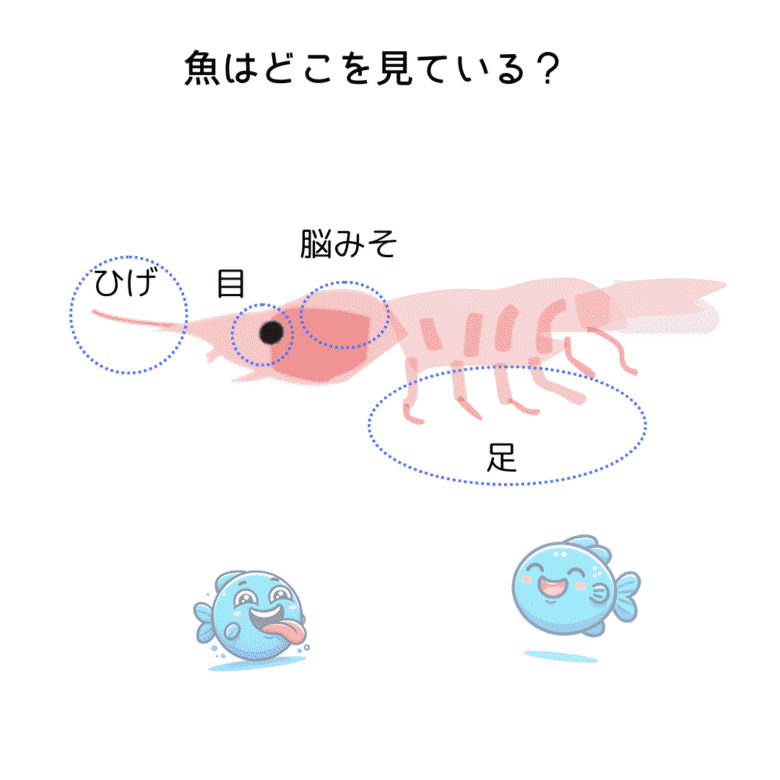 エサのつけ方-3-1 フカセ釣り🎣の疑問～エサのつけ方～