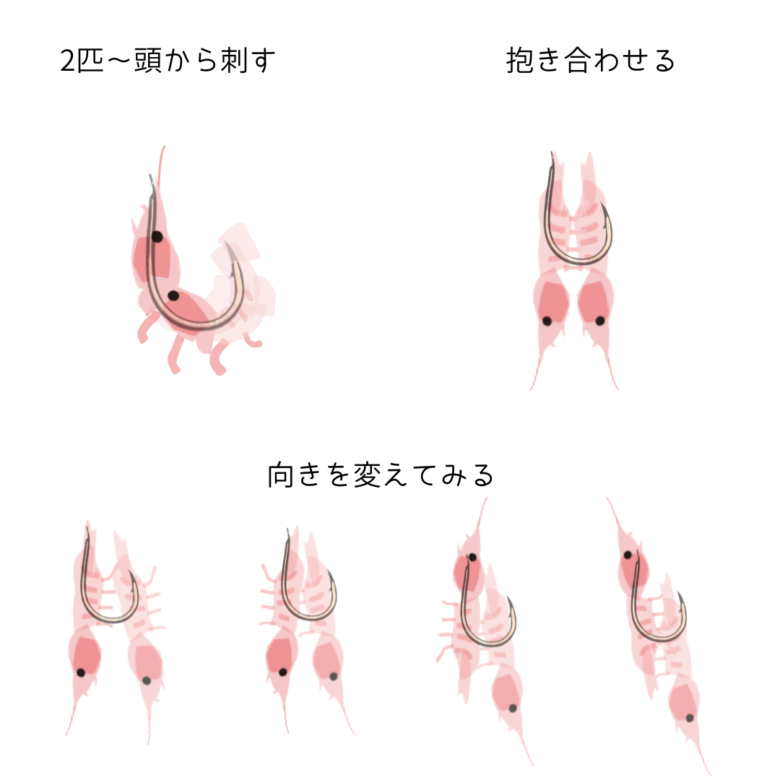 エサのつけ方-5 フカセ釣り🎣の疑問～エサのつけ方～