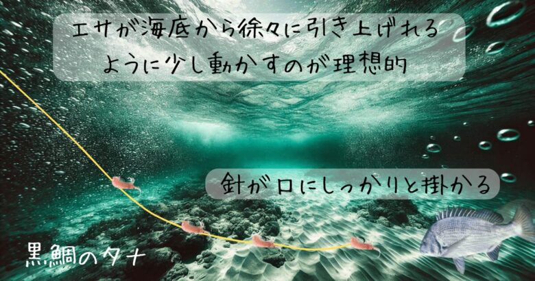 釣りブログ-18-1-1 台風大雨後の南房総エリア～酷い濁りと黒鯛との関係を探る