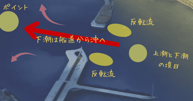 1 南西爆風と荒波に挑む！コロダイ＆尾長メジナを見事キャッチ！