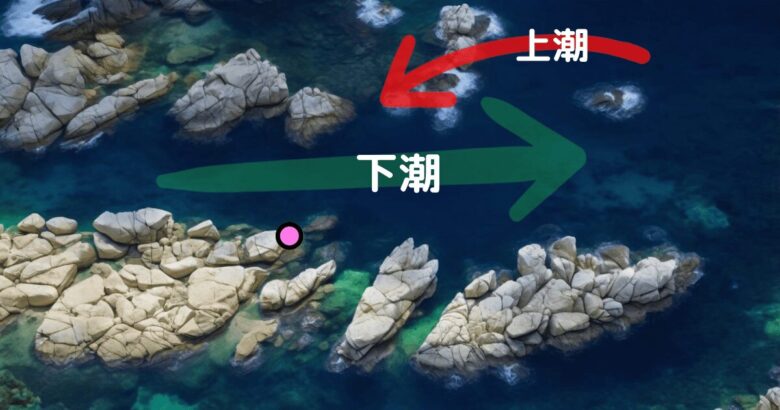海中画像-1-1-1 🎣【春磯】南房総の磯で尾長グレ40cmオーバーを狙うも…現実は厳しかった!|フカセ釣り実釣レポート